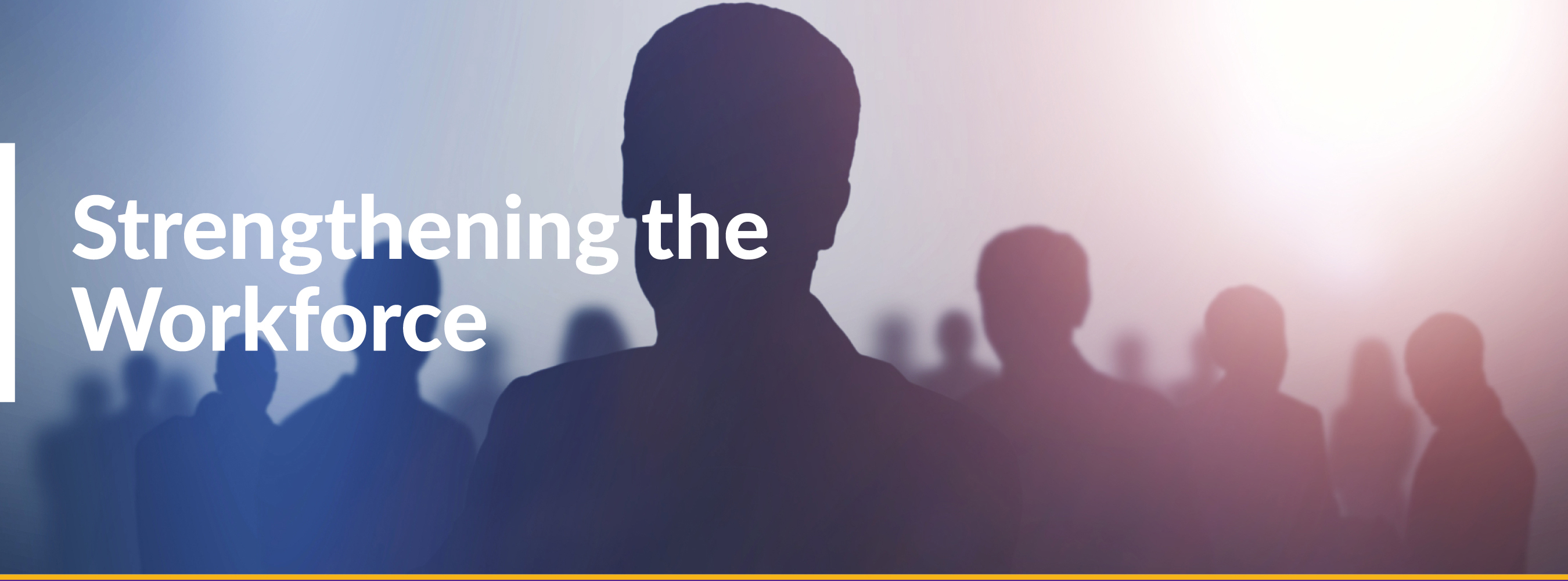 TMF - Stregthening Workforce